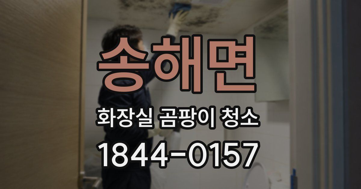 송해면 화장실 곰팡이 청소
