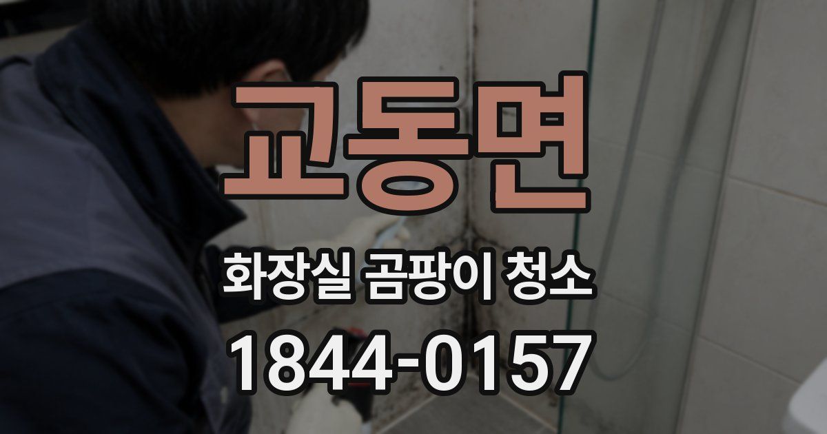 교동면 화장실 곰팡이 청소