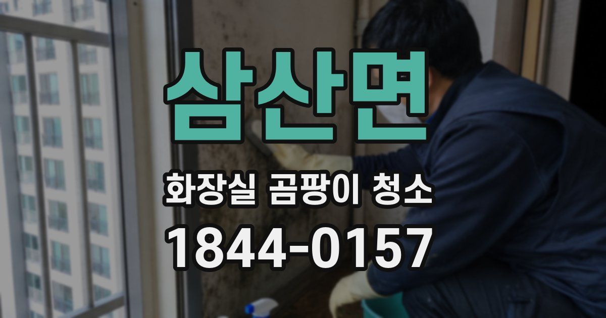 삼산면 화장실 곰팡이 청소