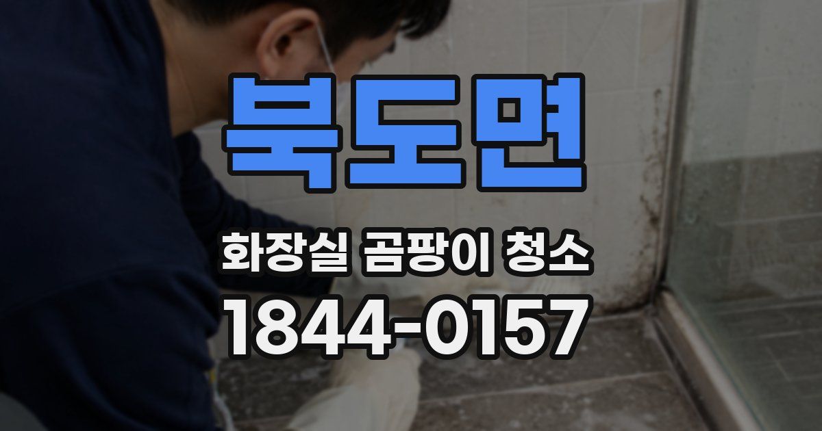 북도면 화장실 곰팡이 청소