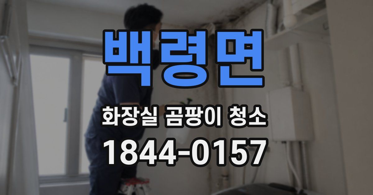 백령면 화장실 곰팡이 청소