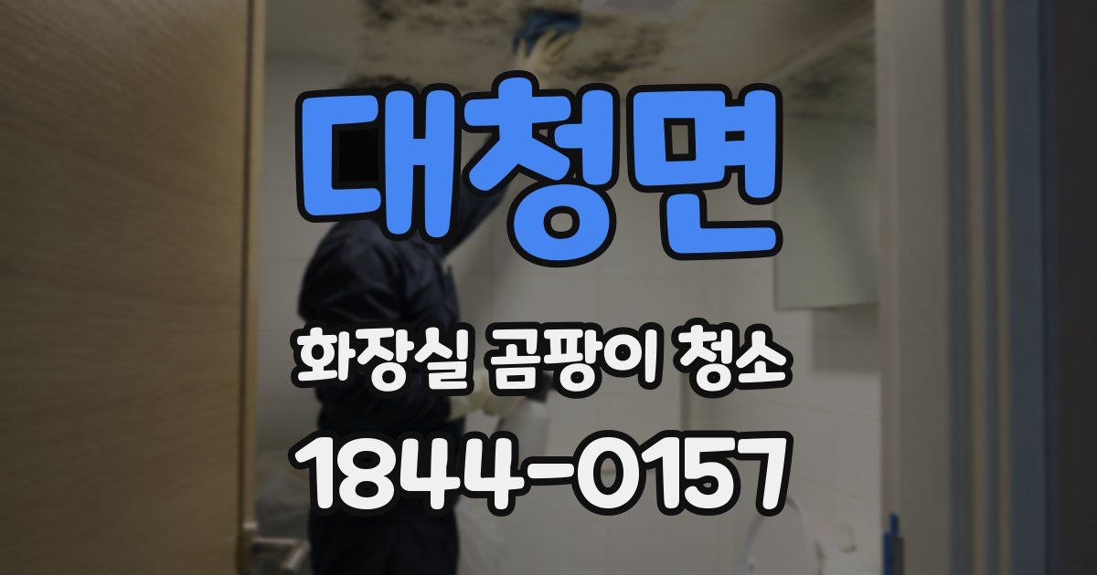 대청면 화장실 곰팡이 청소