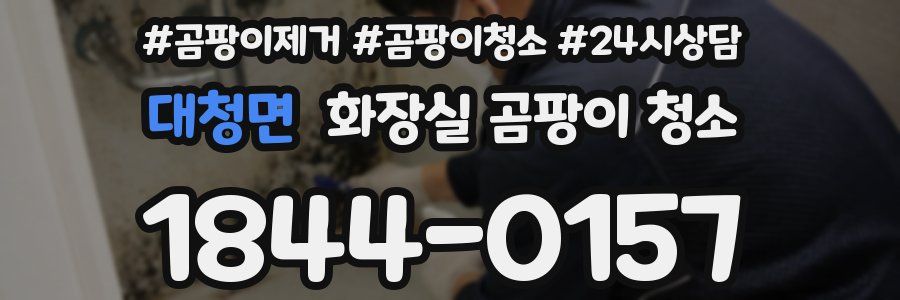대청면 화장실 곰팡이 청소