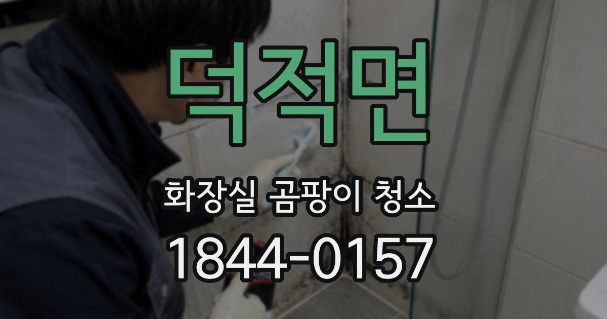 덕적면 화장실 곰팡이 청소