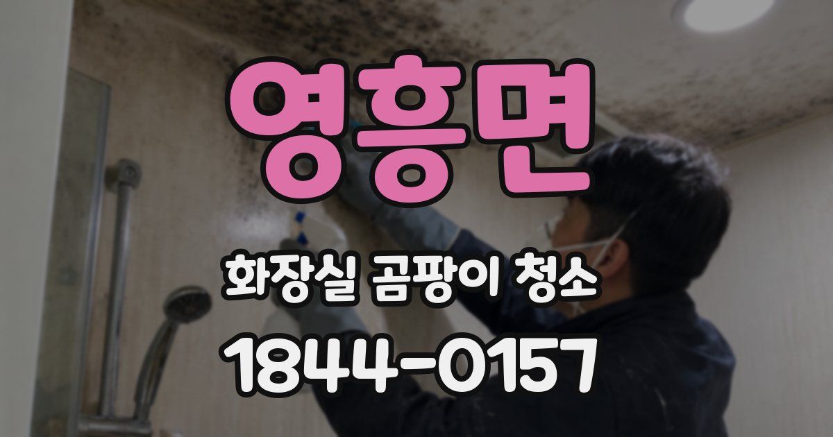 영흥면 화장실 곰팡이 청소