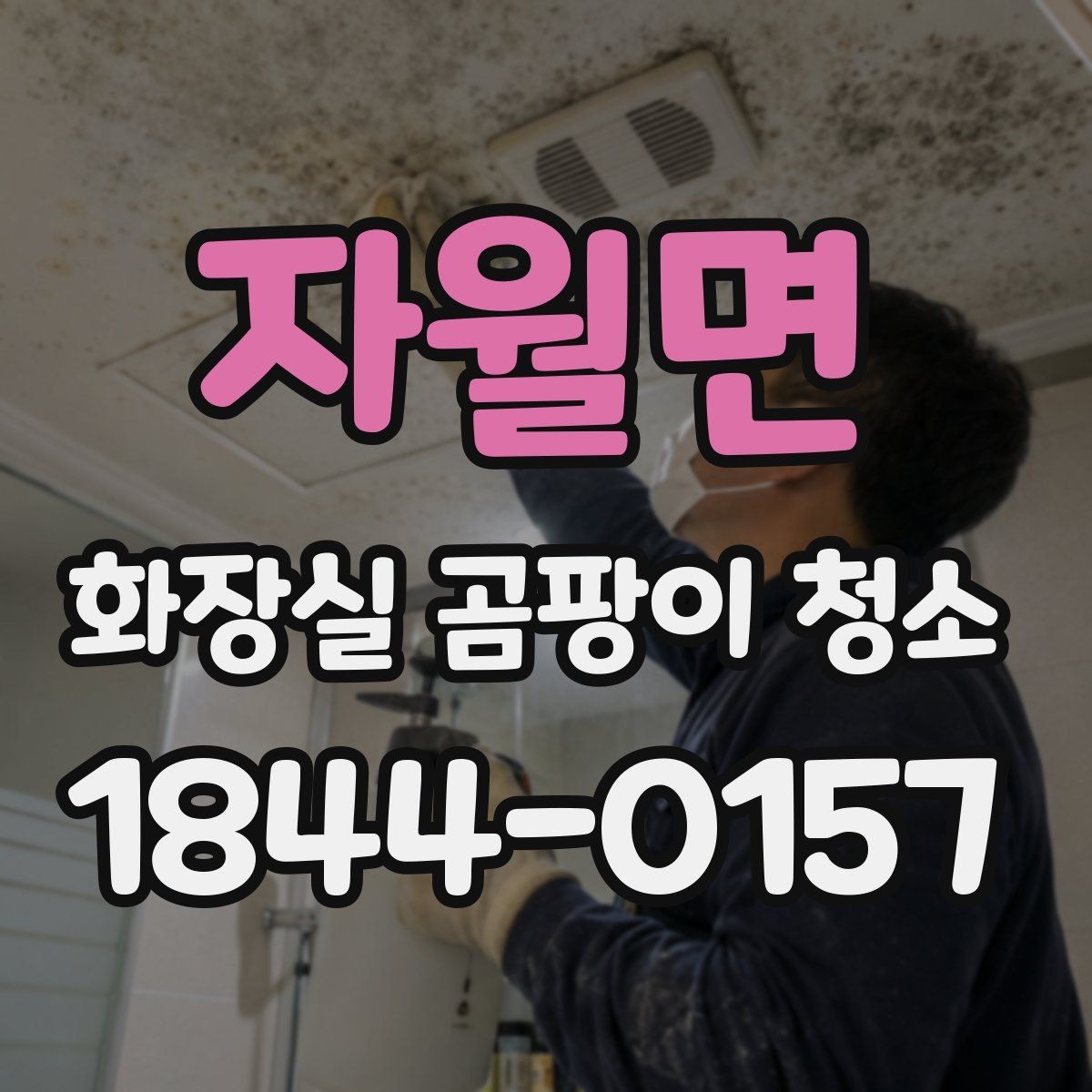 자월면 화장실 곰팡이 청소 환풍기 주변을 놓치지 않는 순서