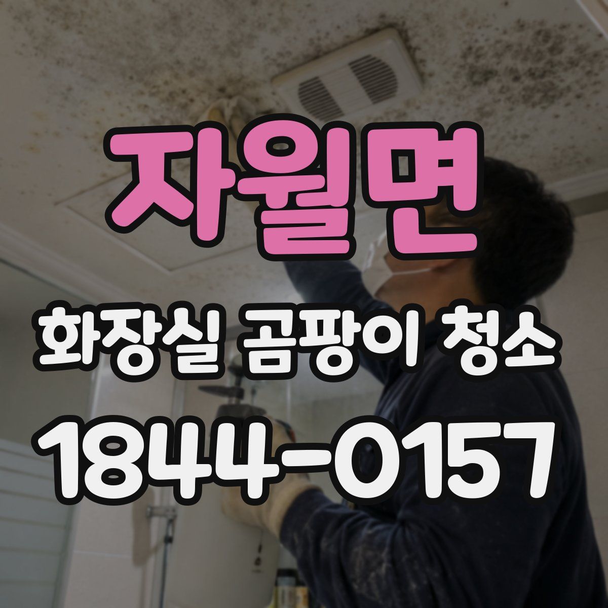 자월면 화장실 곰팡이 청소