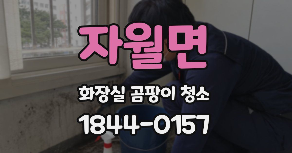자월면 화장실 곰팡이 청소