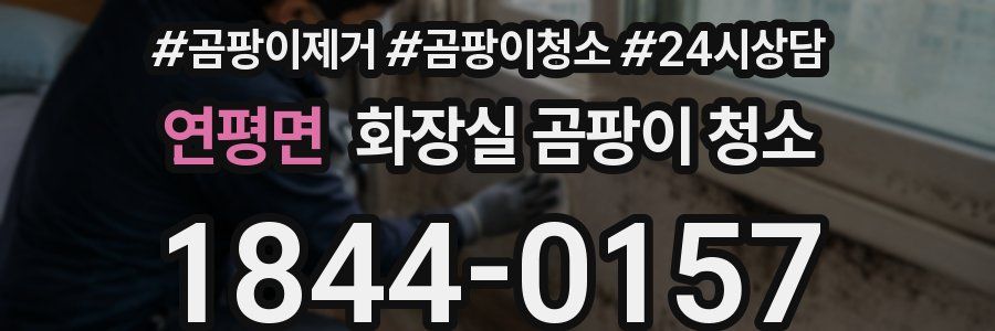 연평면 화장실 곰팡이 청소