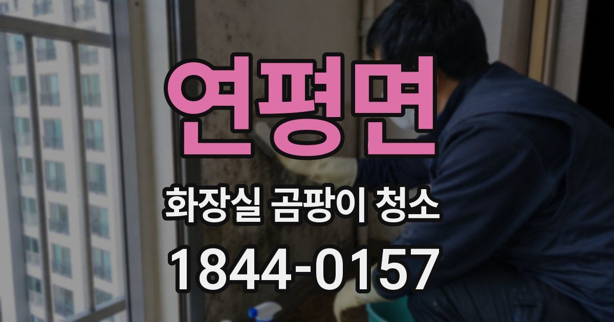 연평면 화장실 곰팡이 청소