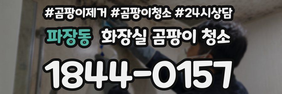 파장동 화장실 곰팡이 청소