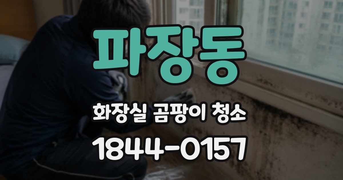 파장동 화장실 곰팡이 청소