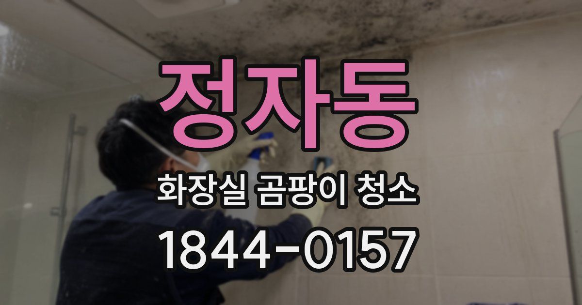 정자동 화장실 곰팡이 청소