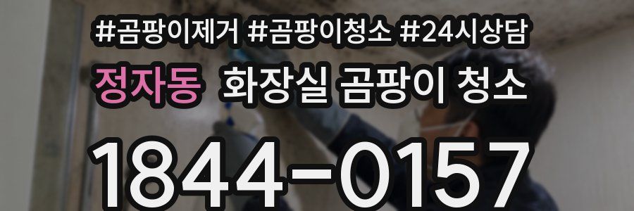 정자동 화장실 곰팡이 청소