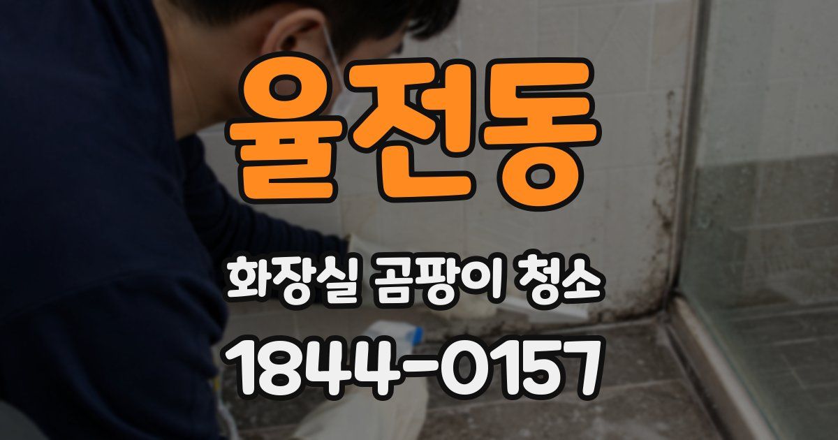 율전동 화장실 곰팡이 청소