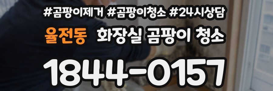 율전동 화장실 곰팡이 청소