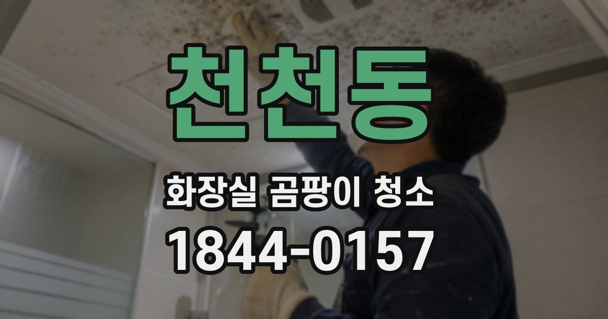 천천동 화장실 곰팡이 청소