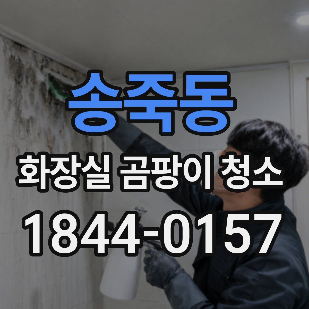 송죽동 화장실 곰팡이 청소