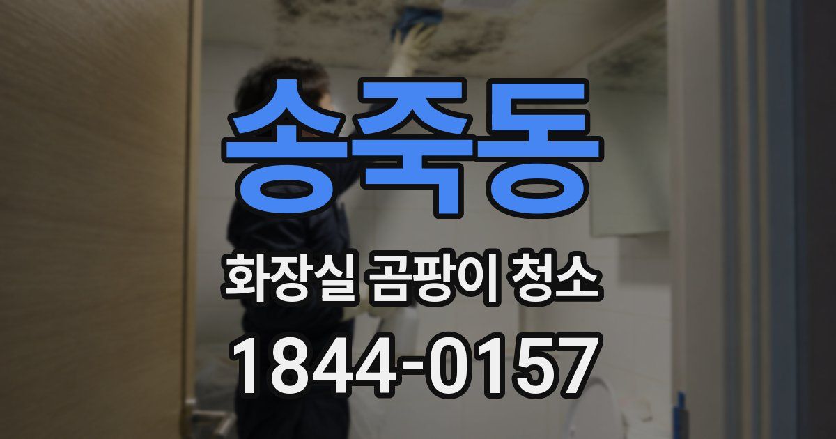 송죽동 화장실 곰팡이 청소