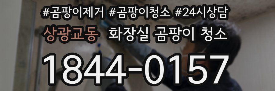 상광교동 화장실 곰팡이 청소