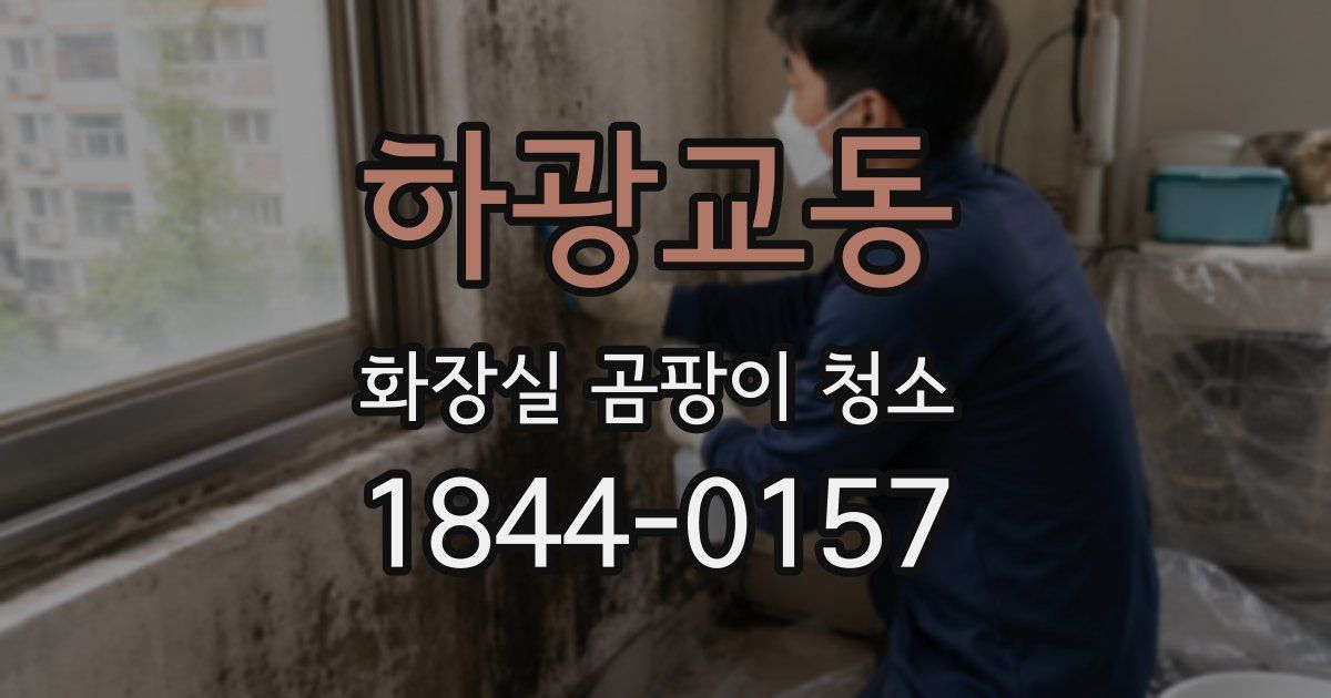 하광교동 화장실 곰팡이 청소