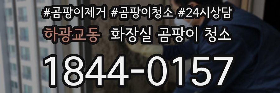 하광교동 화장실 곰팡이 청소