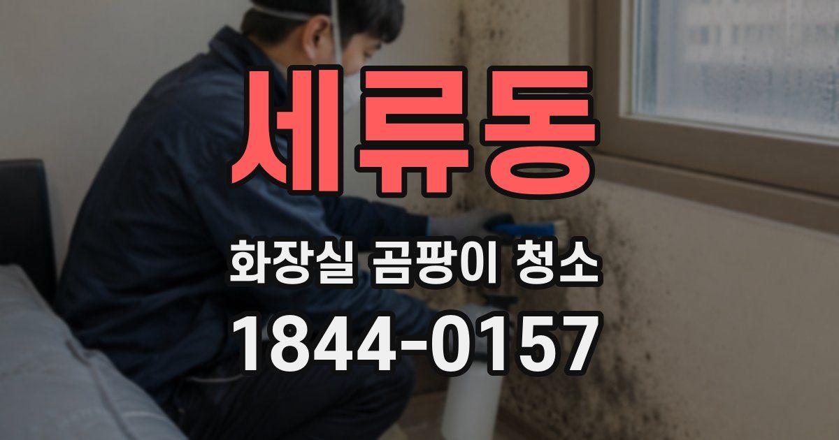 세류동 화장실 곰팡이 청소