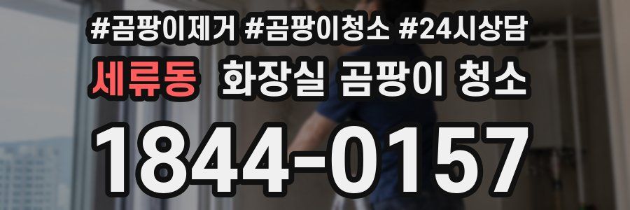 세류동 화장실 곰팡이 청소