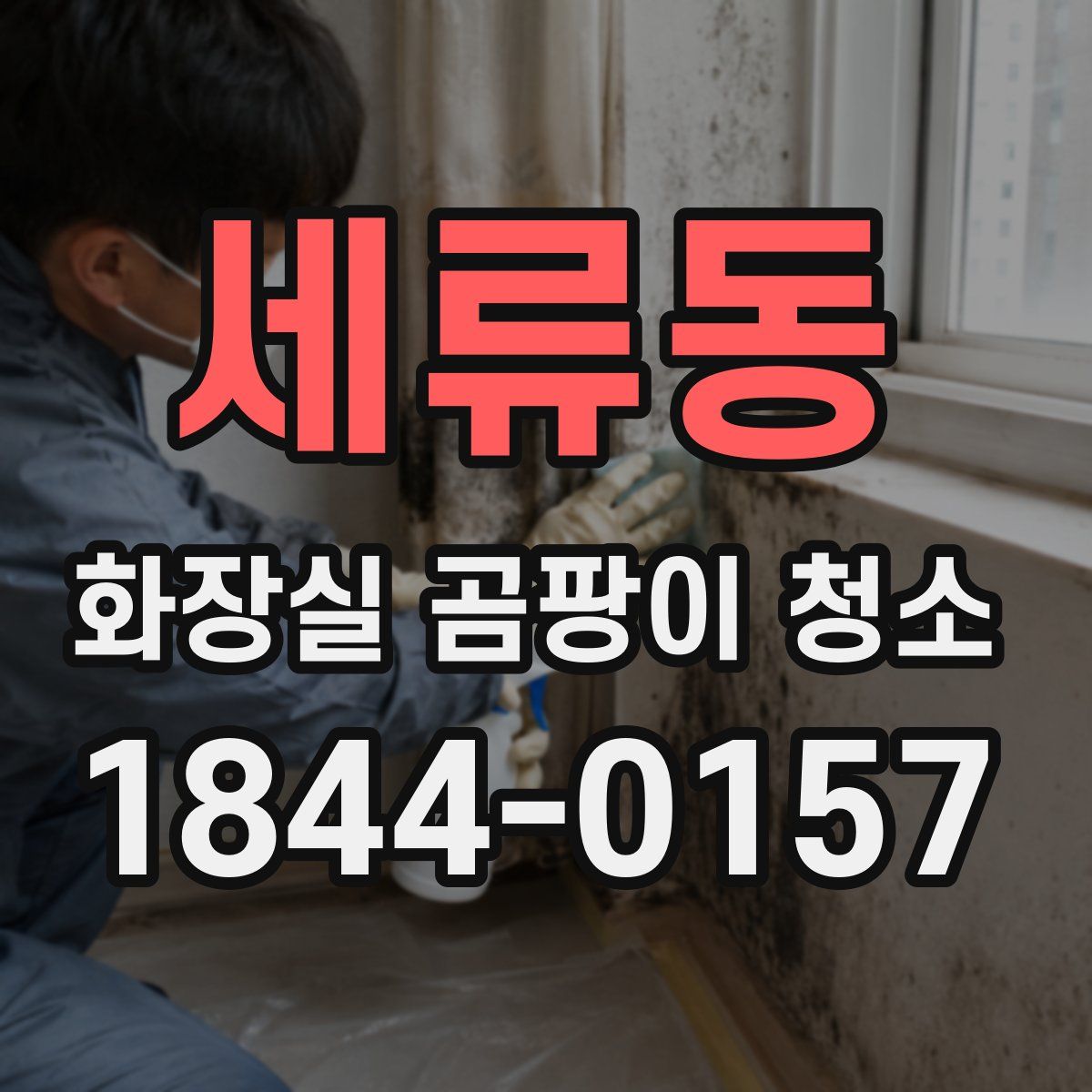 세류동 화장실 곰팡이 청소