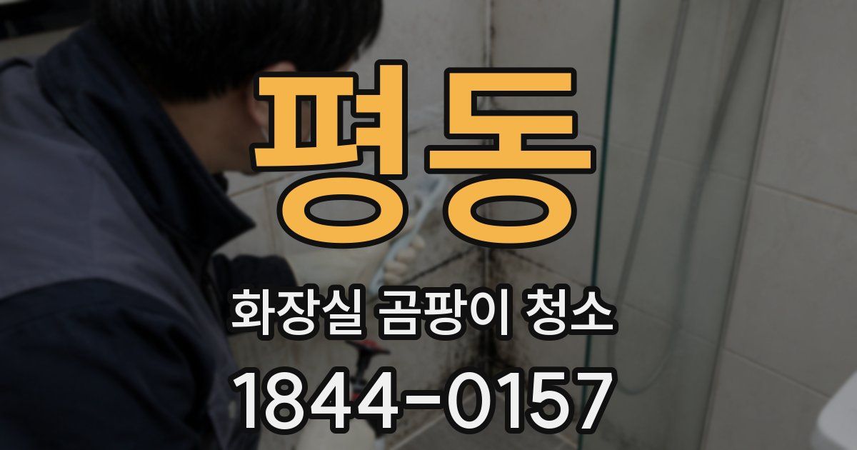 평동 화장실 곰팡이 청소