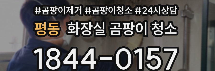 평동 화장실 곰팡이 청소