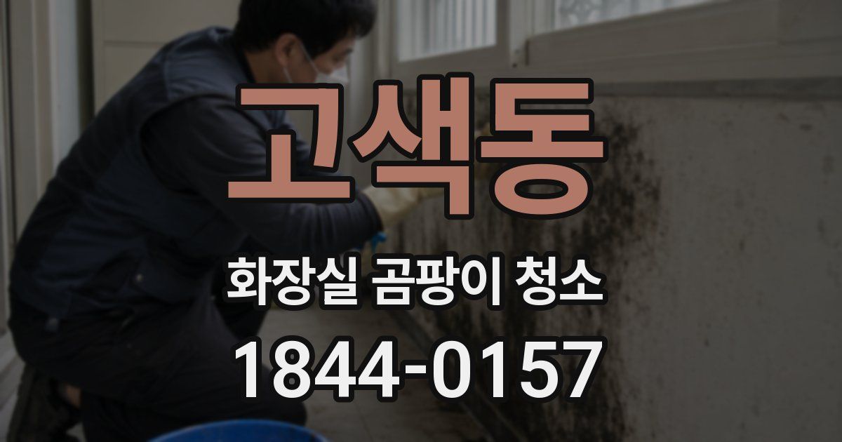 고색동 화장실 곰팡이 청소