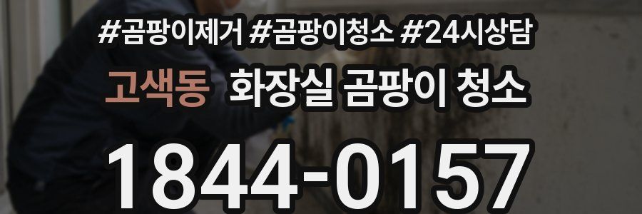고색동 화장실 곰팡이 청소