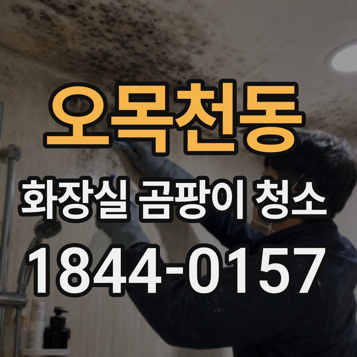 오목천동 화장실 곰팡이 청소