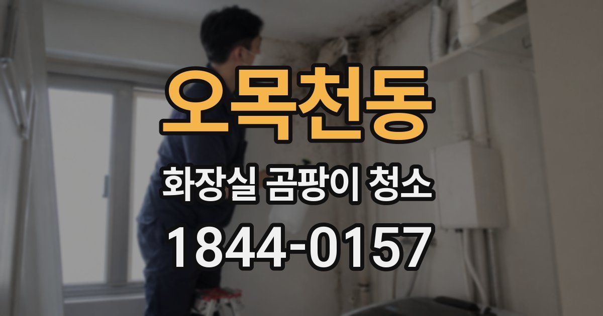 오목천동 화장실 곰팡이 청소