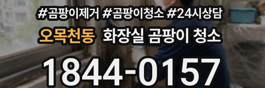 오목천동 화장실 곰팡이 청소