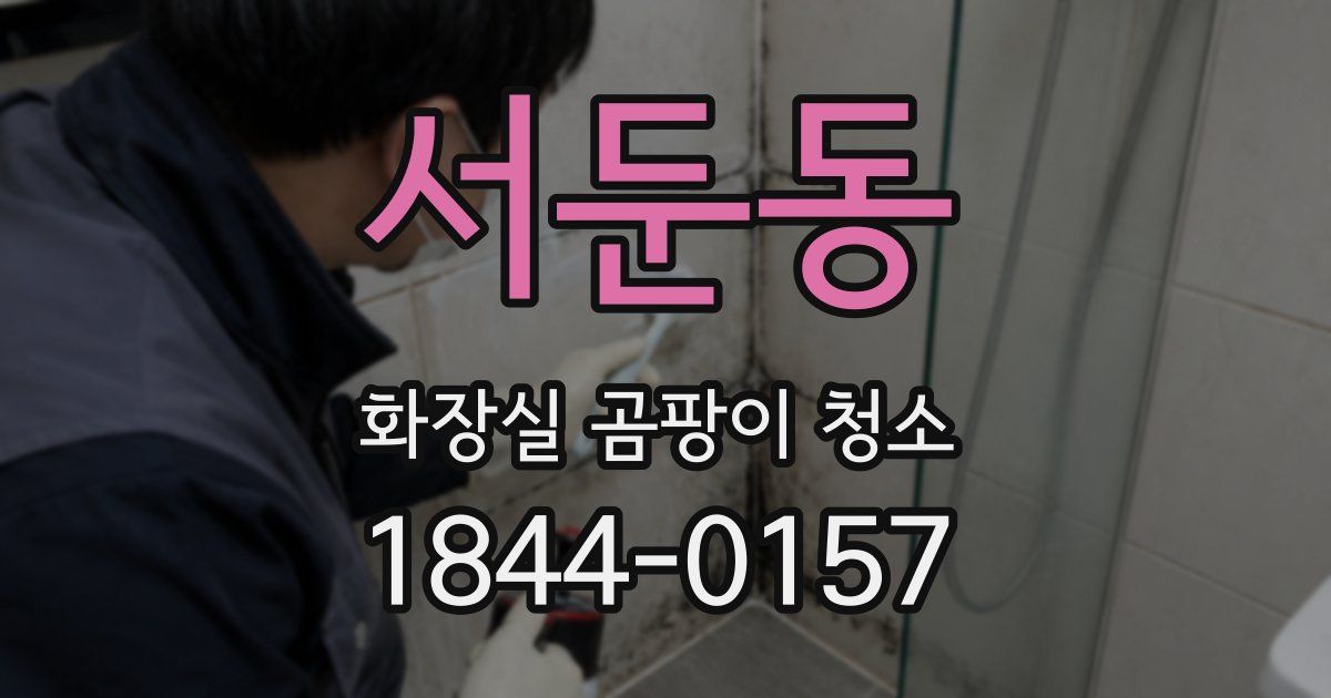 서둔동 화장실 곰팡이 청소