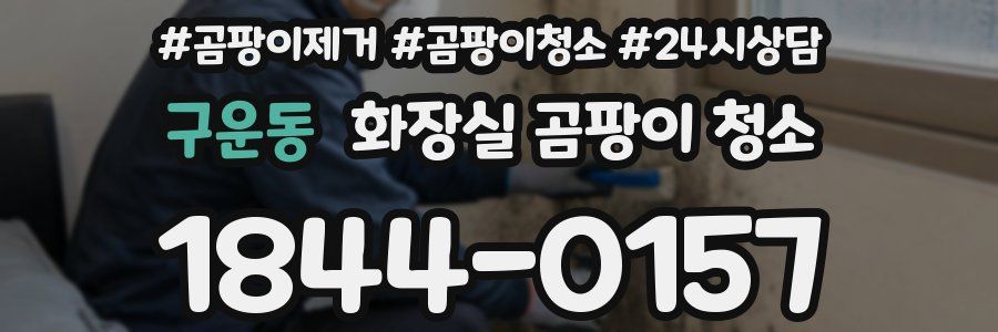 구운동 화장실 곰팡이 청소