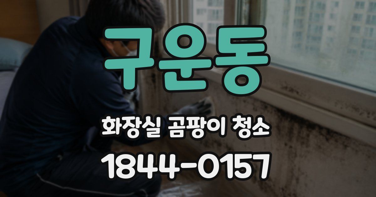 구운동 화장실 곰팡이 청소