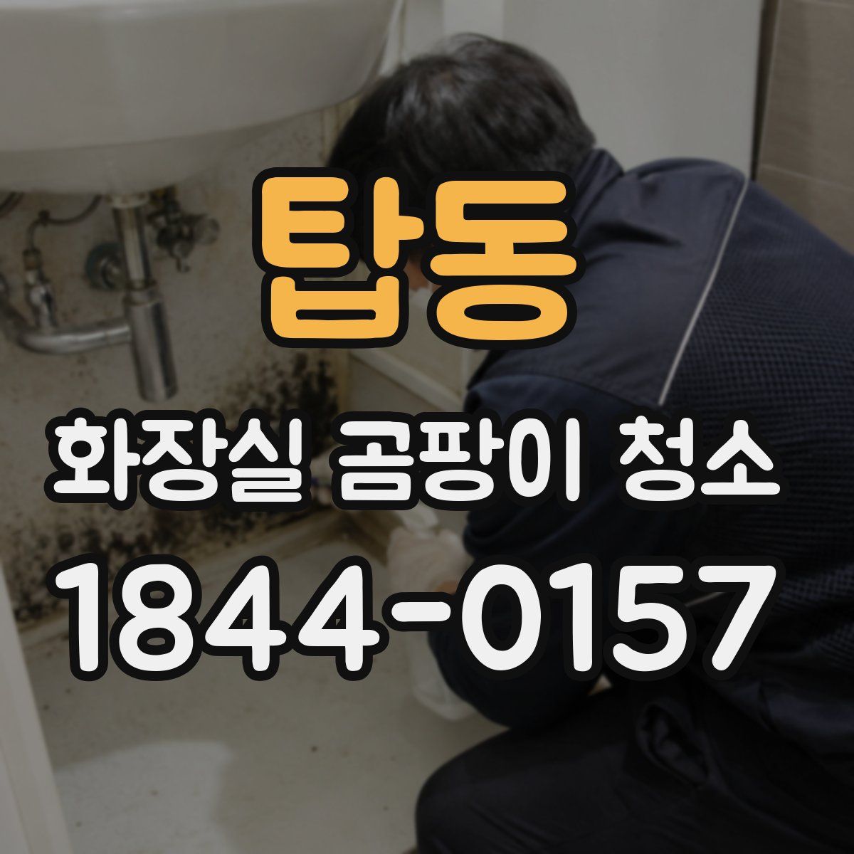 탑동 화장실 곰팡이 청소