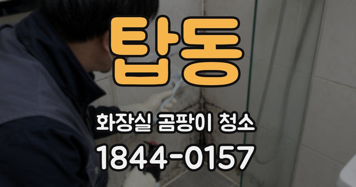 탑동 화장실 곰팡이 청소