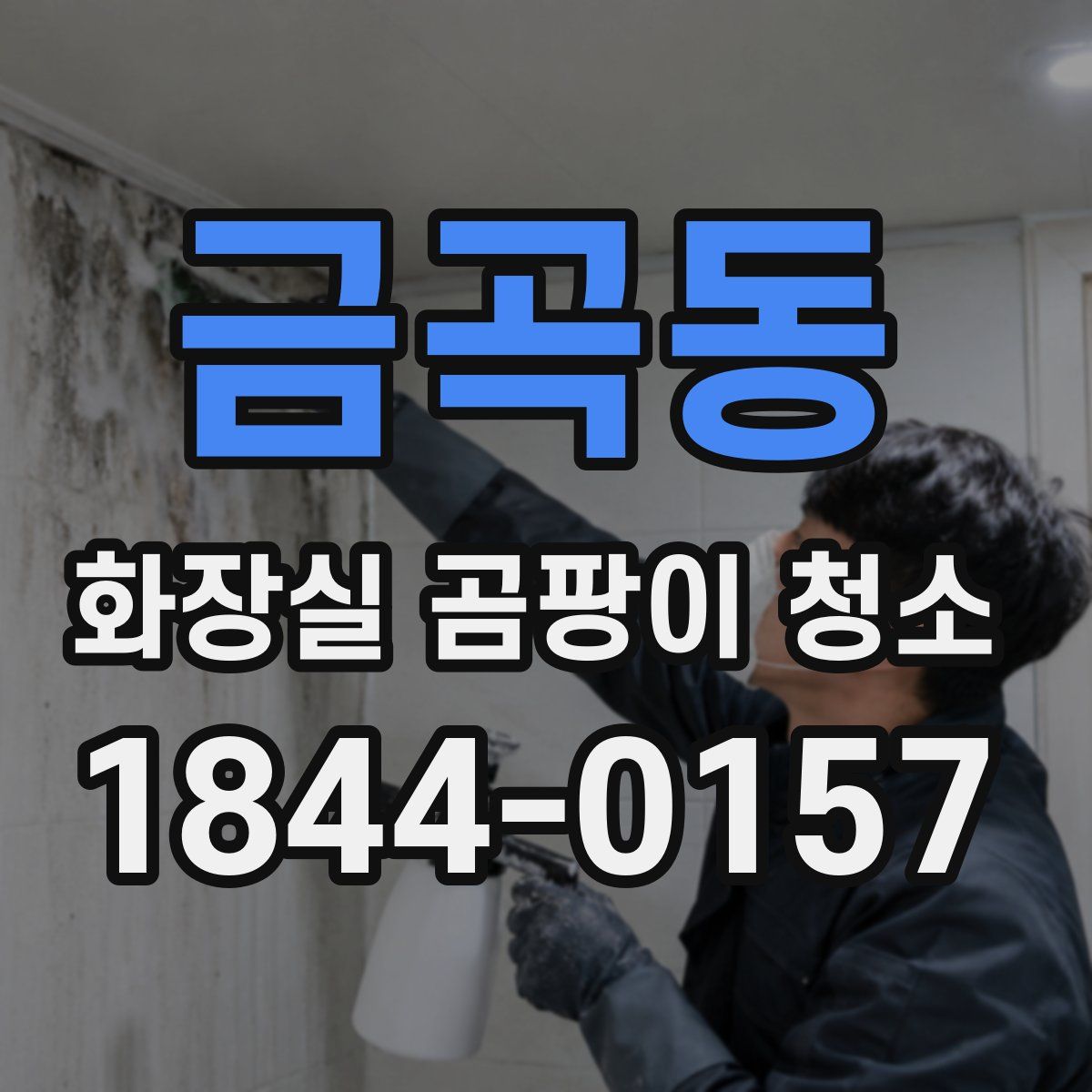 금곡동 화장실 곰팡이 청소