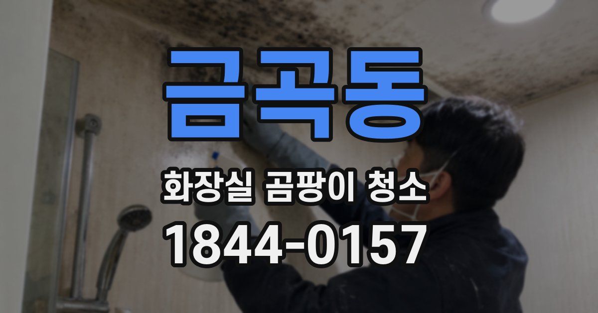 금곡동 화장실 곰팡이 청소