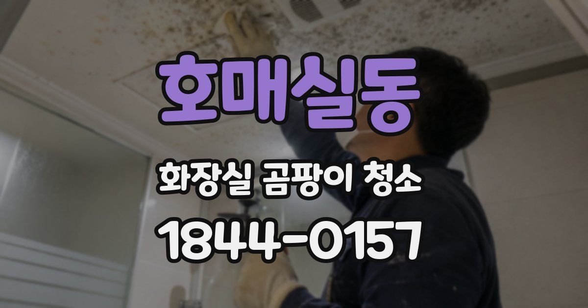 호매실동 화장실 곰팡이 청소