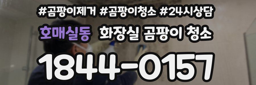 호매실동 화장실 곰팡이 청소