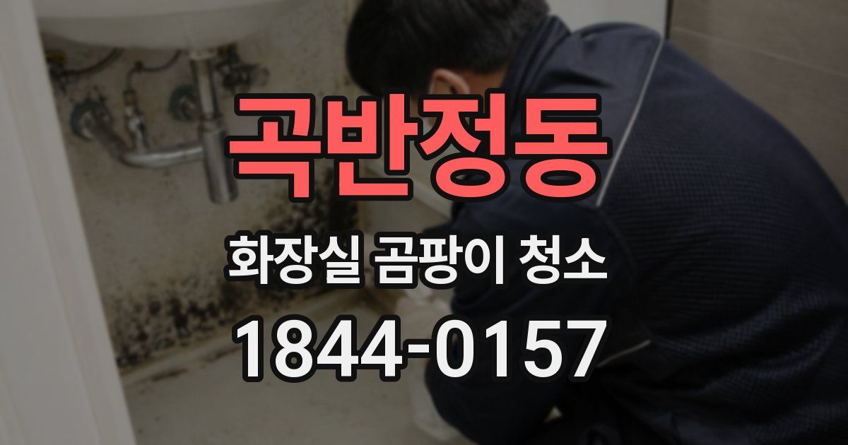 곡반정동 화장실 곰팡이 청소