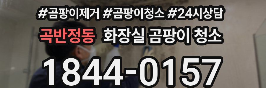 곡반정동 화장실 곰팡이 청소