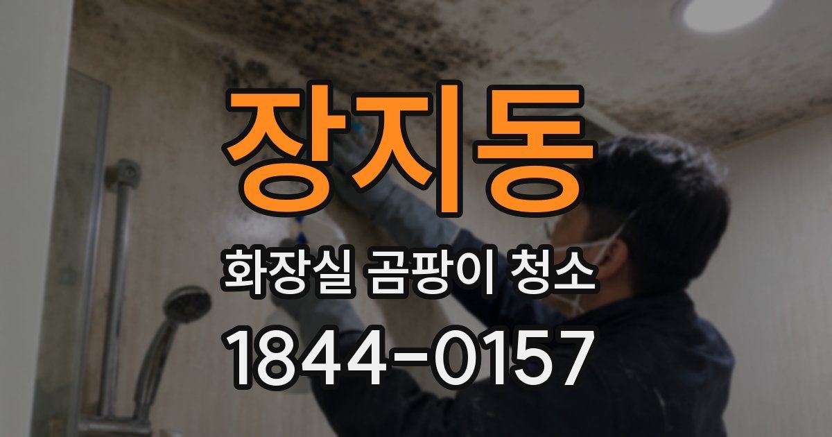 장지동 화장실 곰팡이 청소