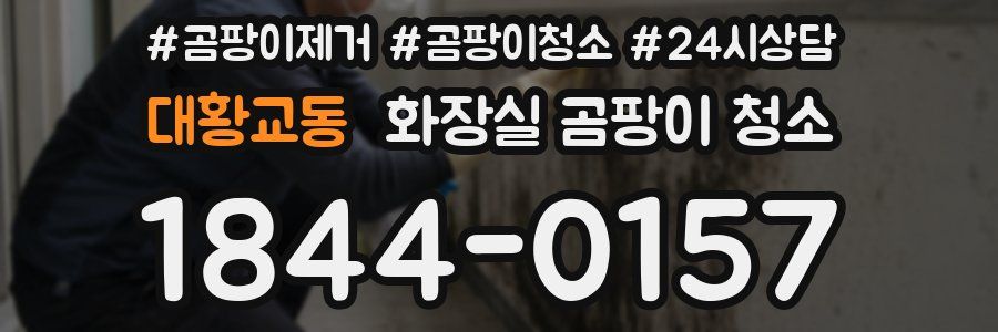 대황교동 화장실 곰팡이 청소
