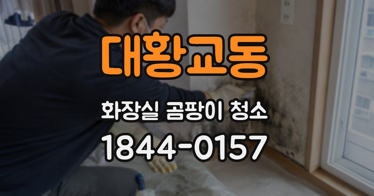 대황교동 화장실 곰팡이 청소